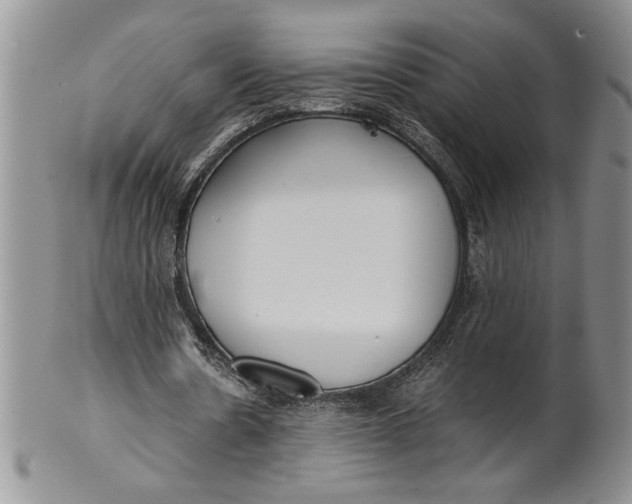 X0000099930530200806131405