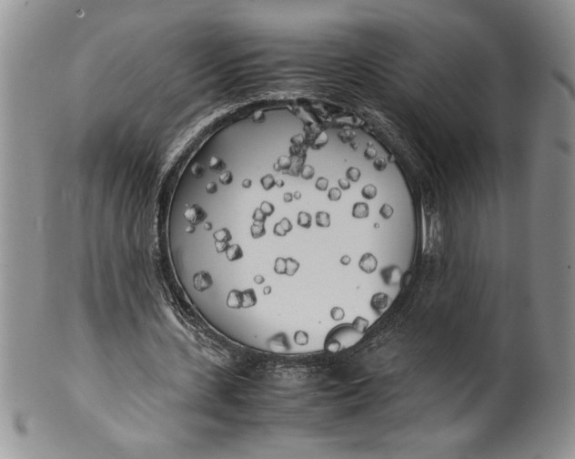 X0000099930531200806131405