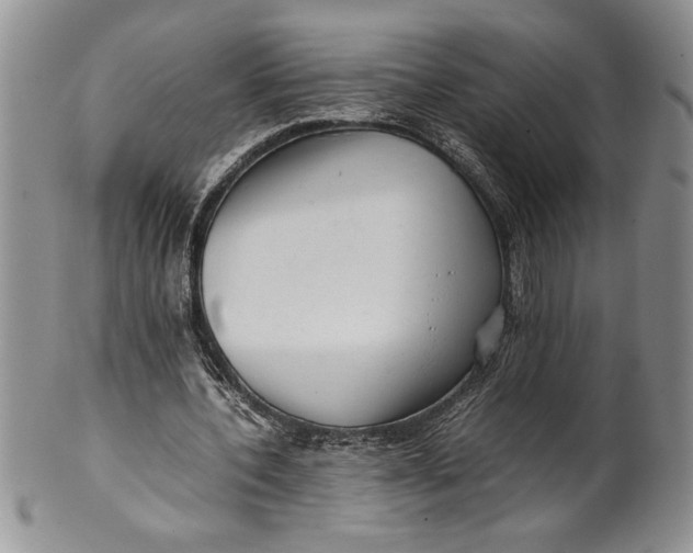 X0000099930532200806131405