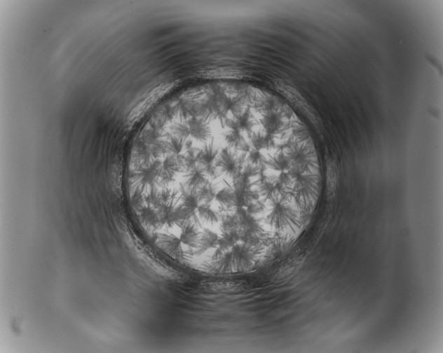 X0000099930533200806131405