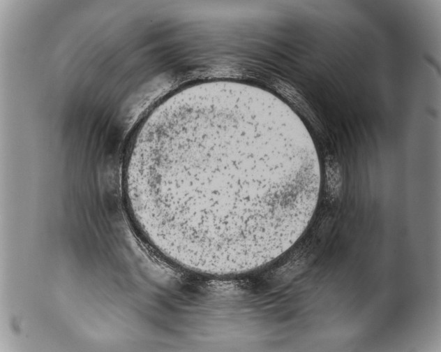 X0000099930534200806131405