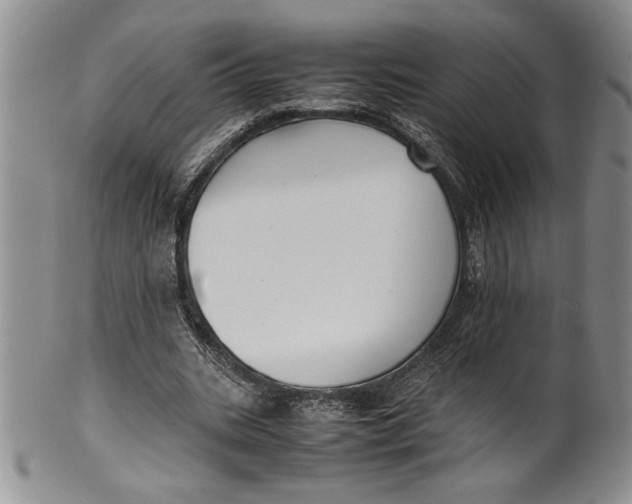 X0000099930535200806131405