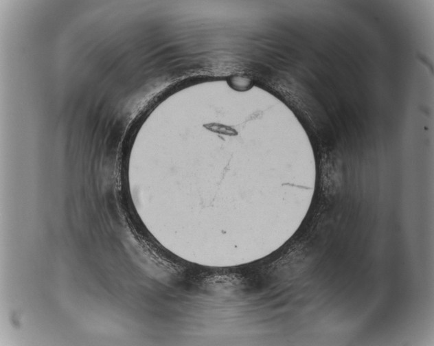 X0000099930536200806131405