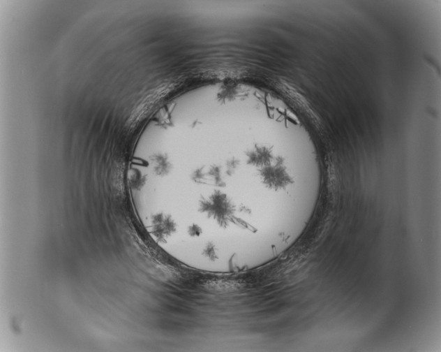 X0000099930537200806131405