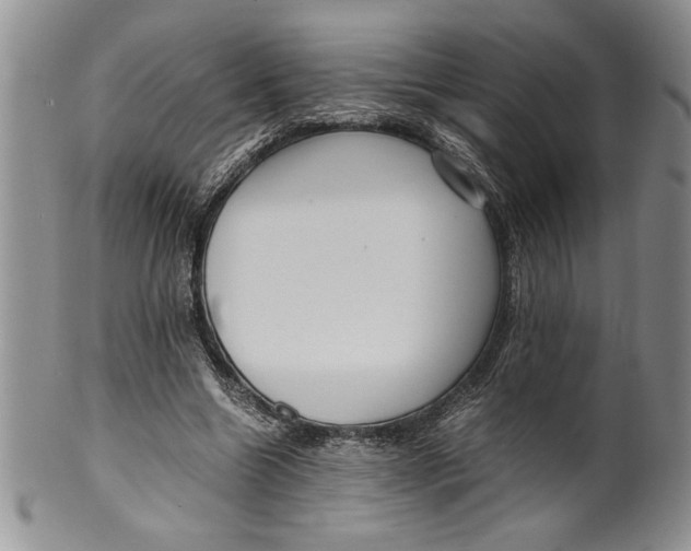 X0000099930538200806131405