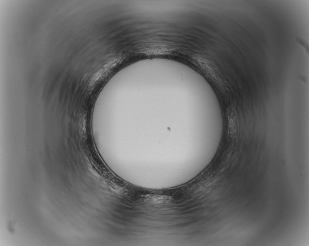 X0000099930539200806131405