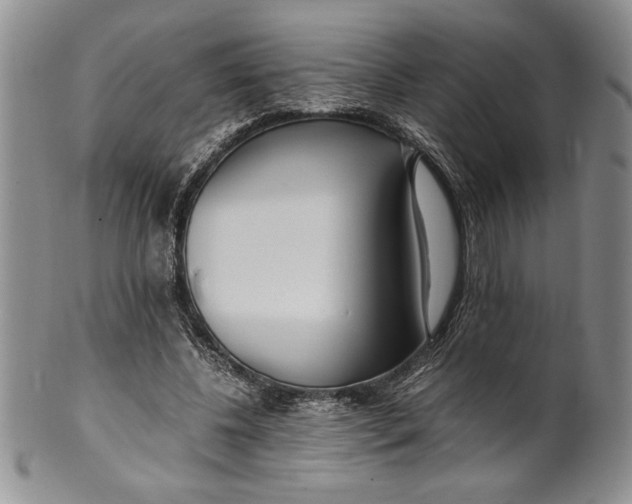 X0000099930540200806131405