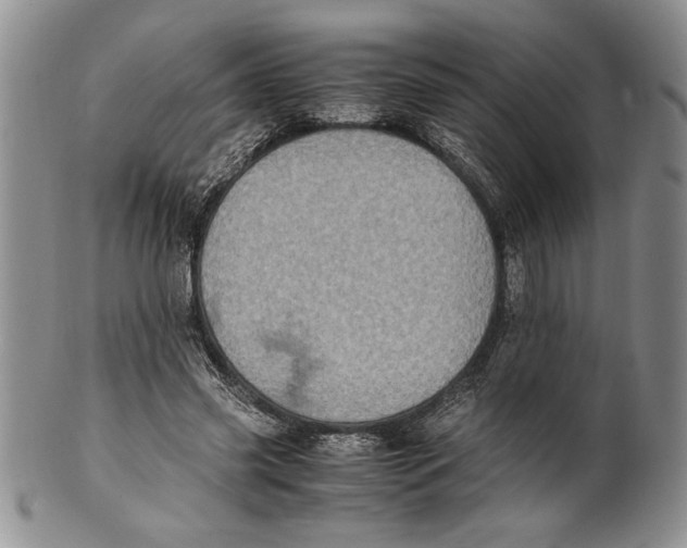 X0000099930541200806131405