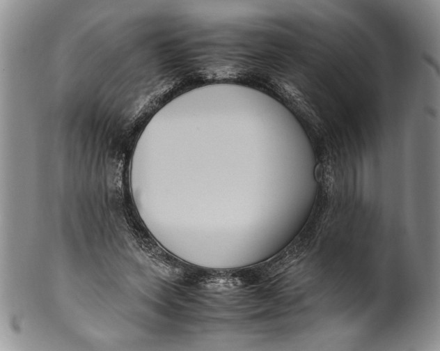 X0000099930543200806131405