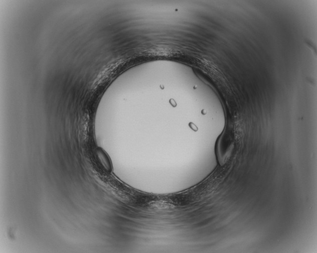 X0000099930544200806131405