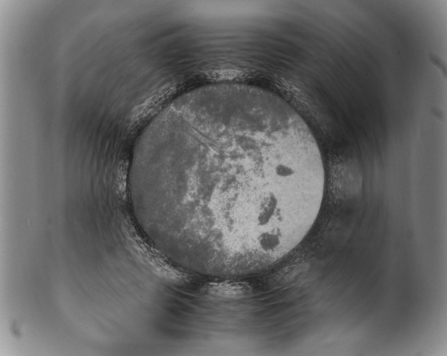 X0000099930545200806131405