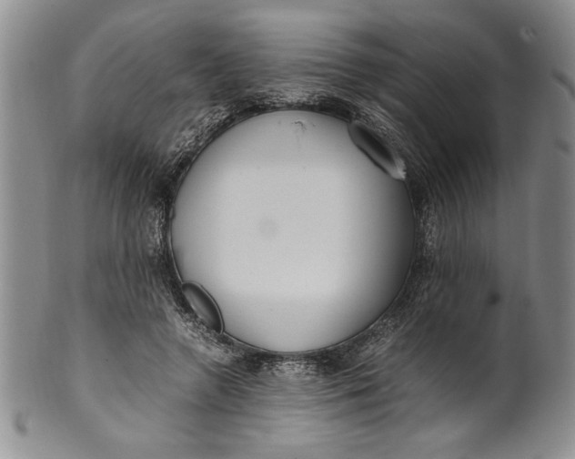 X0000099930546200806131405