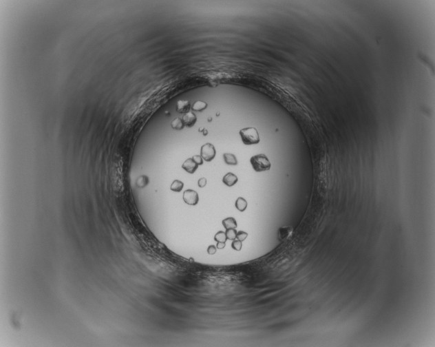 X0000099930547200806131405