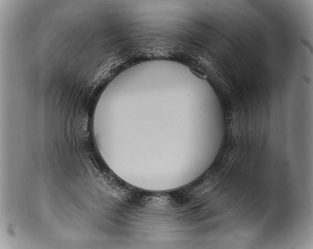 X0000099930548200806131405