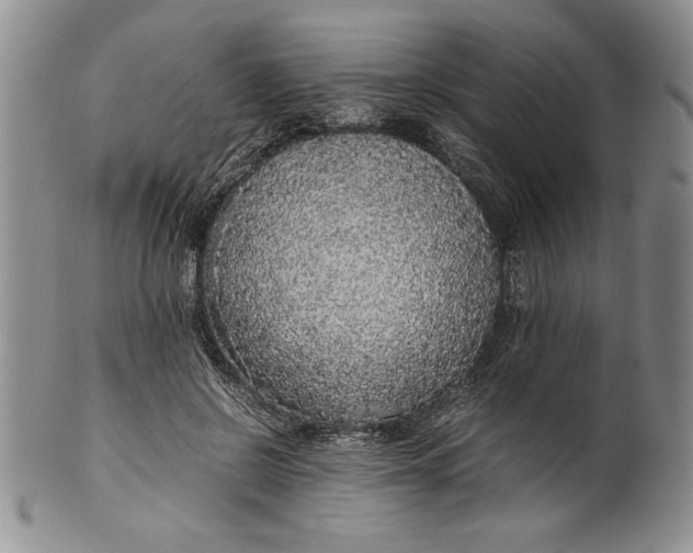 X0000099930550200806131405