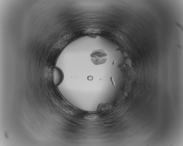 X0000099930551200806131405