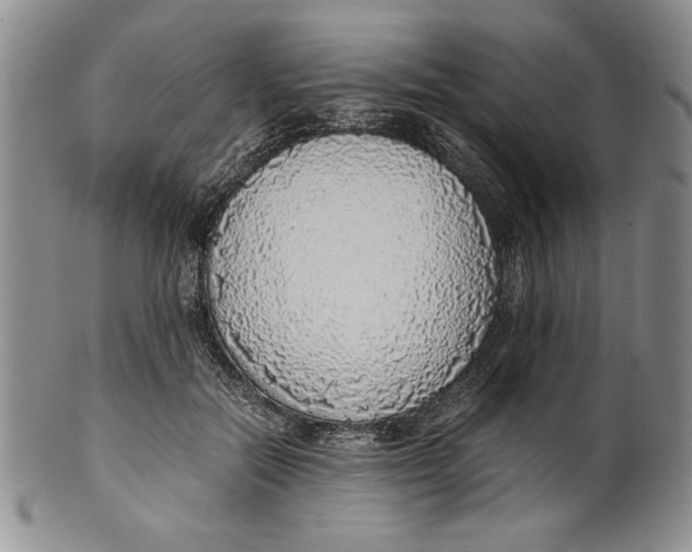 X0000099930554200806131405