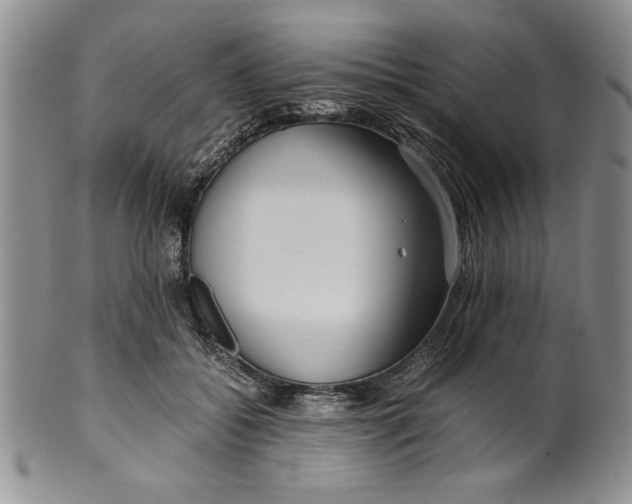 X0000099930556200806131405