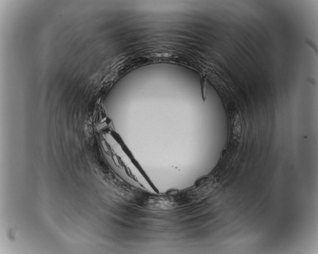 X0000099930559200806131405