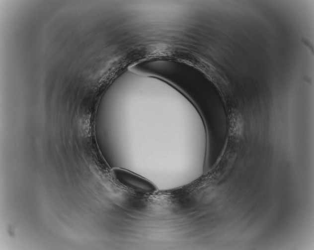 X0000099930560200806131405