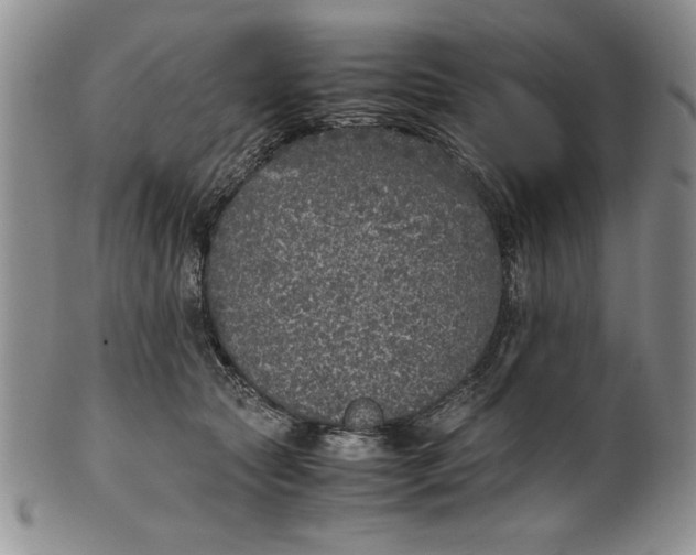 X0000099930561200806131405