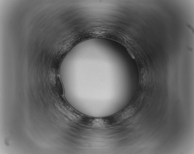 X0000099930562200806131405