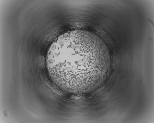 X0000099930563200806131405