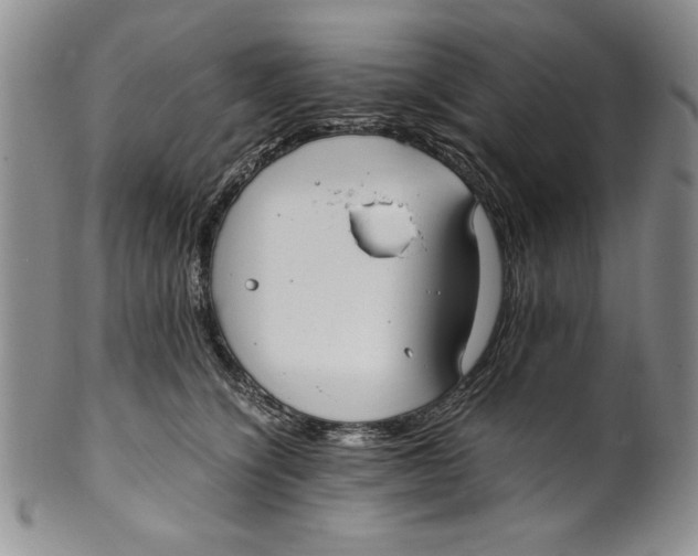 X0000099930564200806131405