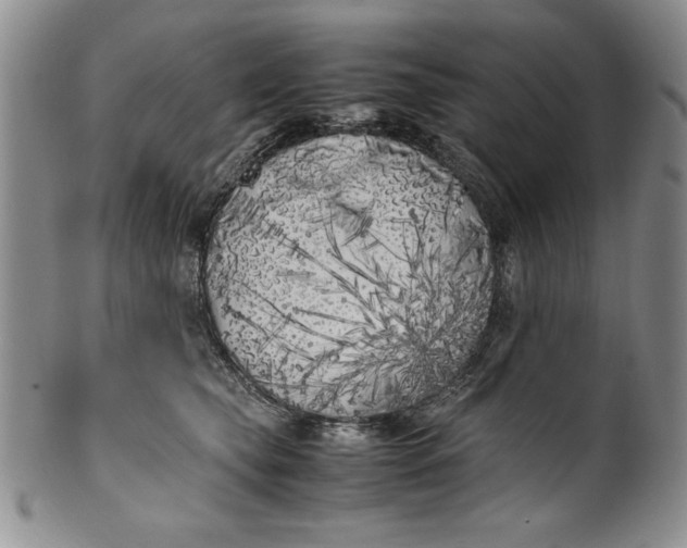 X0000099930565200806131405