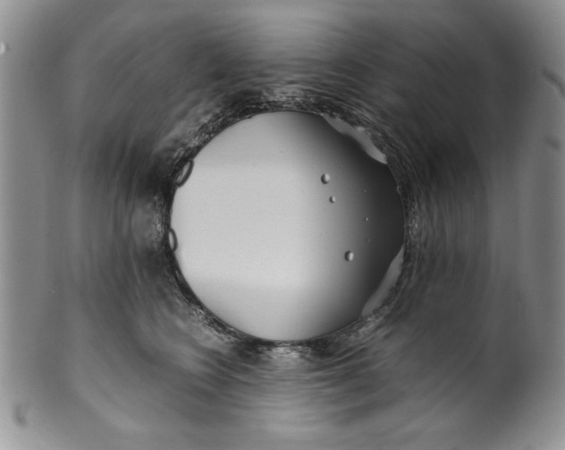 X0000099930566200806131405