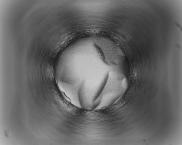 X0000099930568200806131405