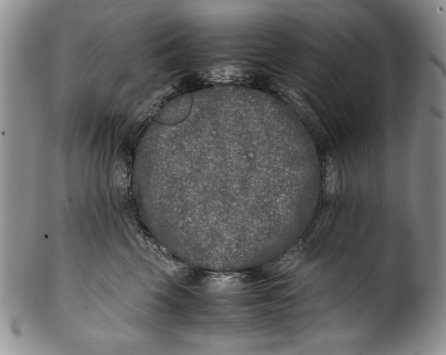 X0000099930569200806131405