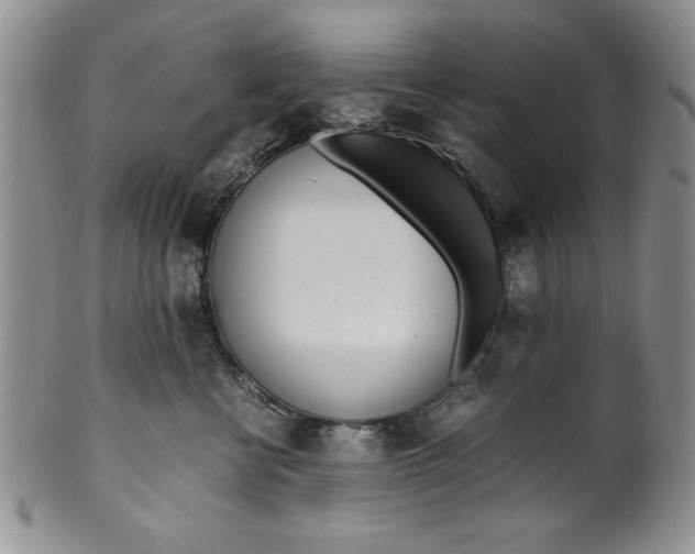 X0000099930570200806131405