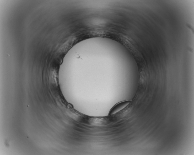 X0000099930575200806131405