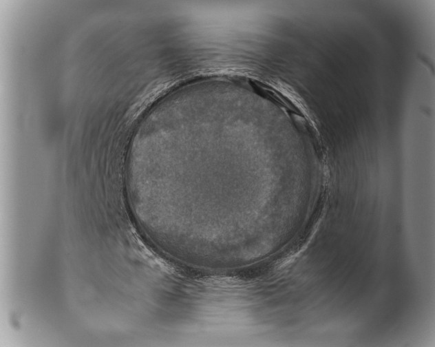 X0000099930577200806131405