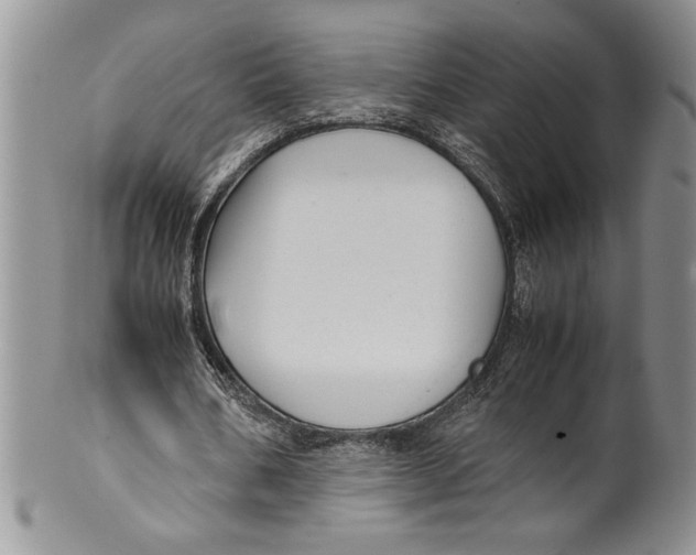 X0000099930578200806131405