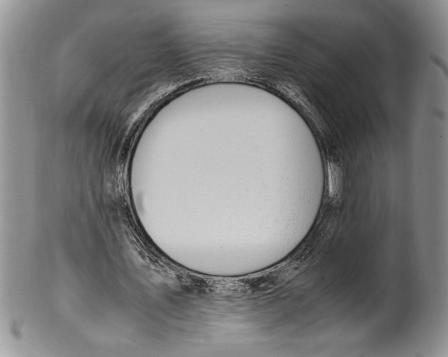 X0000099930579200806131405