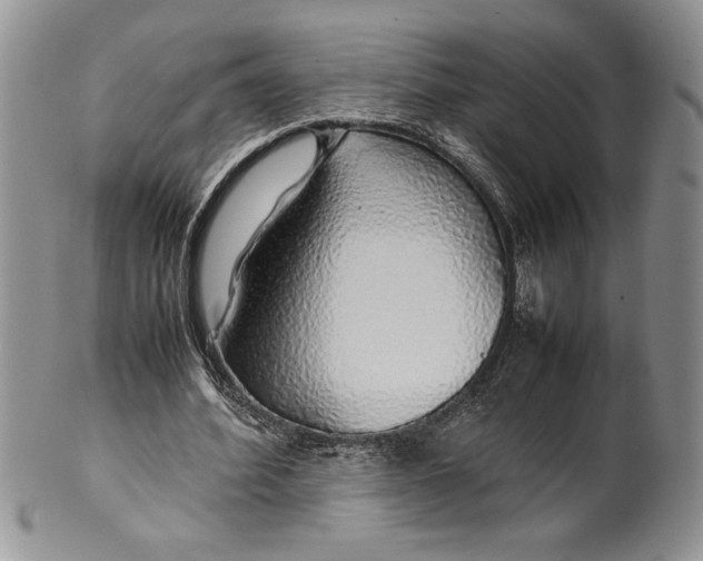 X0000099930580200806131405