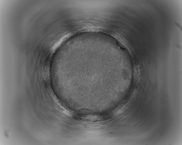 X0000099930581200806131405