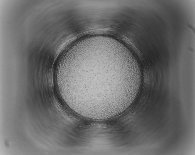 X0000099930582200806131405