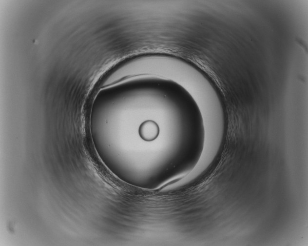 X0000099930584200806131405