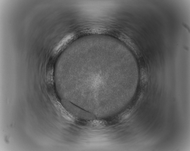 X0000099930585200806131405