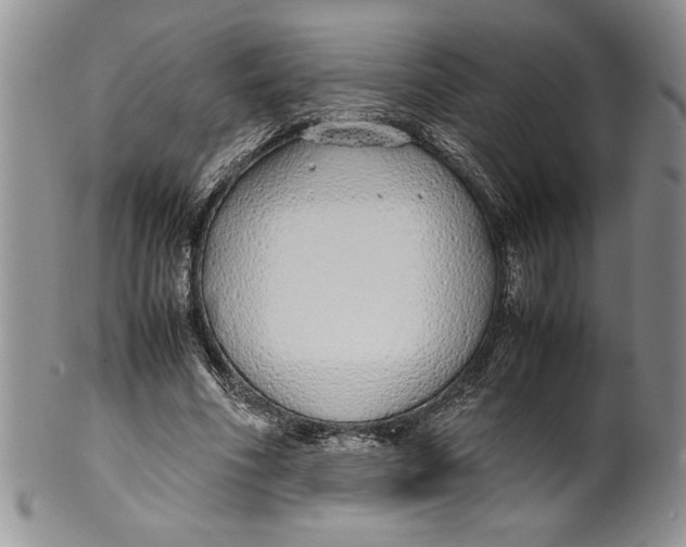 X0000099930586200806131405