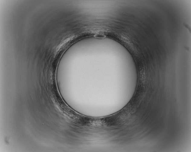 X0000099930587200806131404