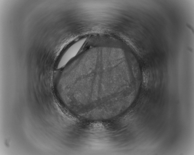 X0000099930588200806131404