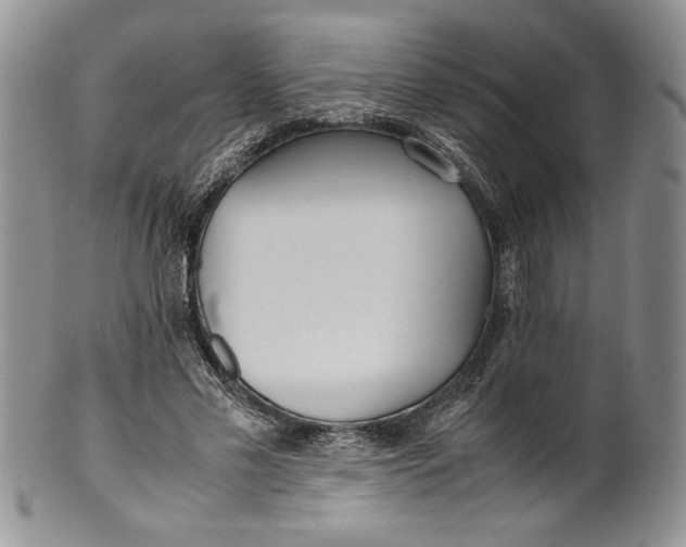 X0000099930589200806131404