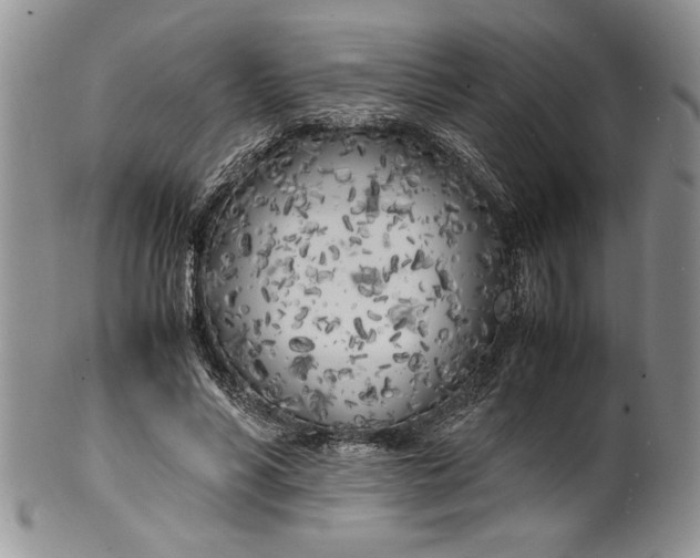 X0000099930590200806131404