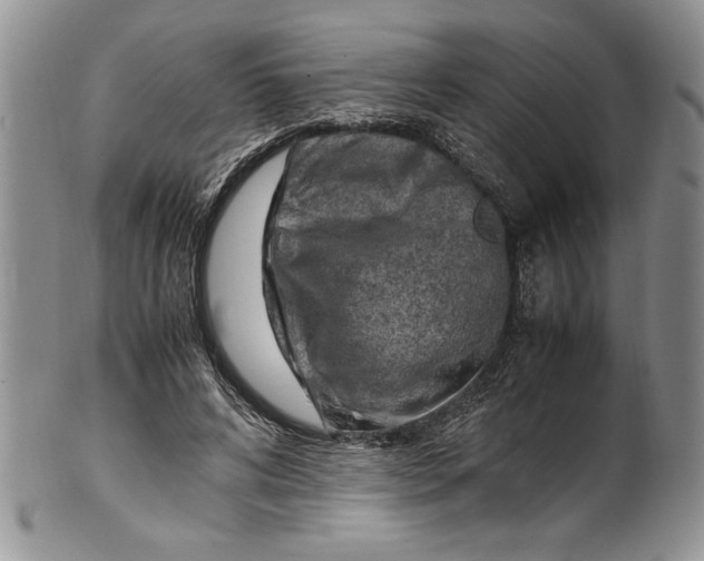 X0000099930592200806131404