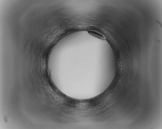 X0000099930593200806131404