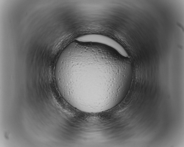 X0000099930594200806131404